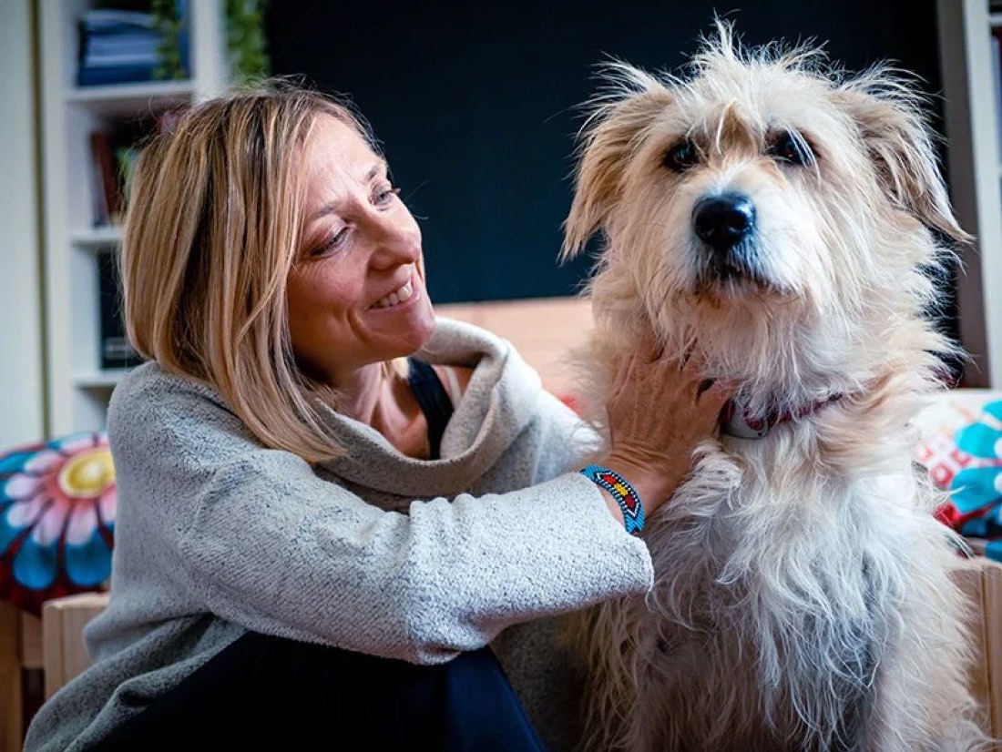 A calm dog resting with its owner at home