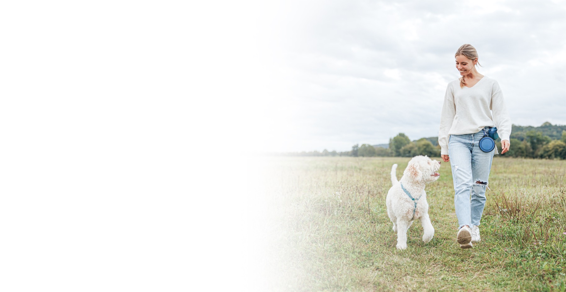 A person walking calmly with their dog on a sunny path