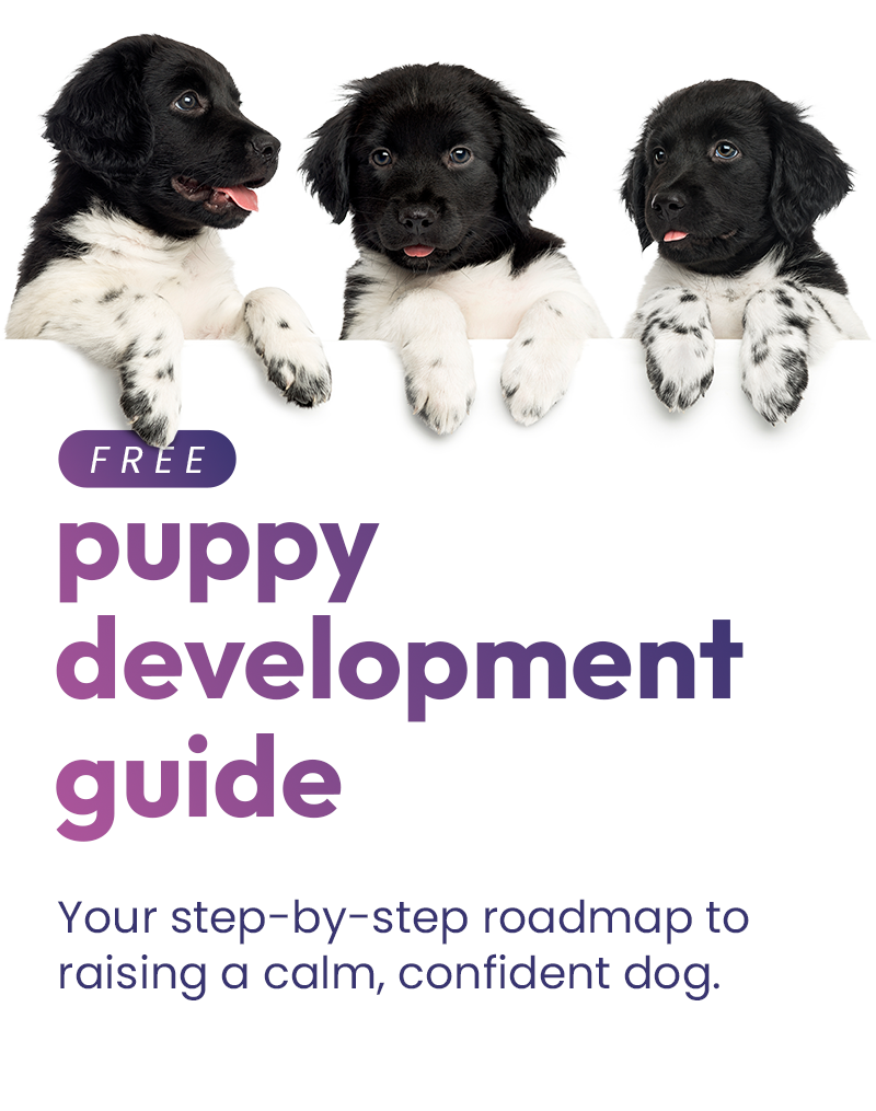 The ReadyDog puppy manual