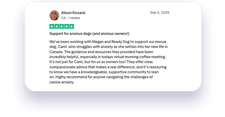 ReadyDog member review 3
