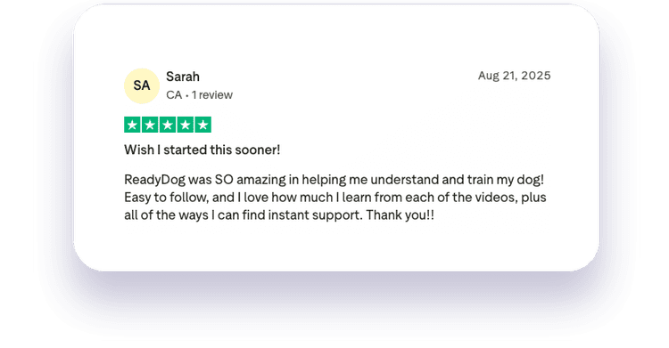 ReadyDog member review 6