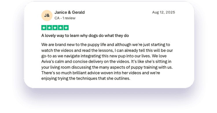 ReadyDog member review 7