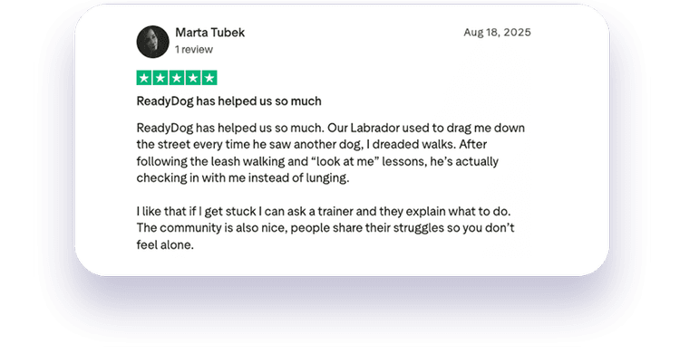 ReadyDog member review 8