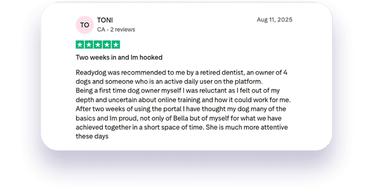 ReadyDog member review 9